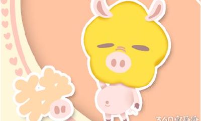 2019年属猪2019年运势及运程查询