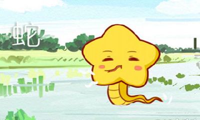 1941年属蛇2019年运势及运程查询