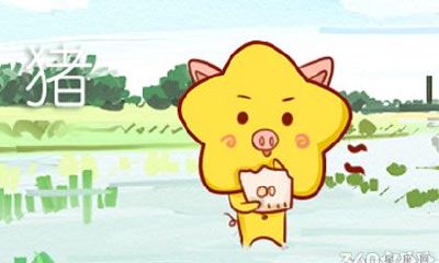 1995年属猪2019年运势及运程查询