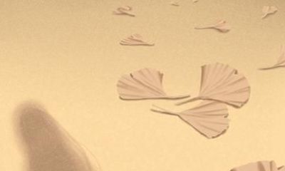 2022年生肖运势详解 财运和事业运分析