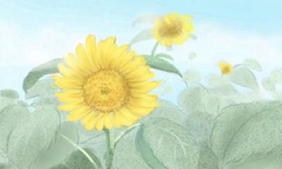 免费算命今年的运气 2021年有好运势的生肖