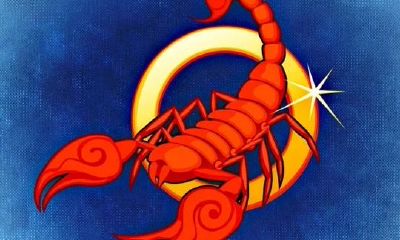 天蝎女和狮子男配对?