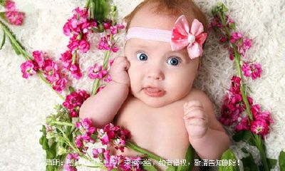 女孩好听的名字大全2019猪年