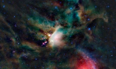 天蝎座：穿越黑暗的勇者