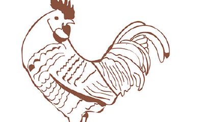2017年属鸡的人取什么名字好