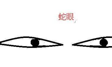 面相:蛇眼者意志力集中