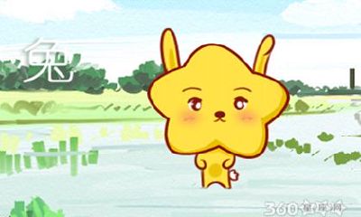 属兔今年每月运势 属兔人2019年11月运势查询