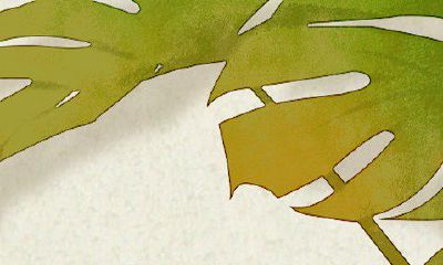 初一十五全是观音菩萨的小孩2023年