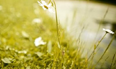 2017年属鸡的男孩名字带什么字好