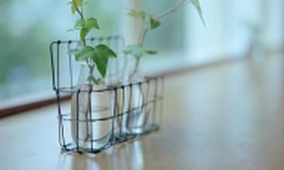 怎样给宝宝起诗意的名字