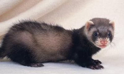 古典的男孩名字怎么取