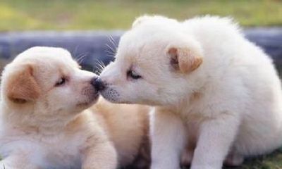 最旺财的姓名是怎样的