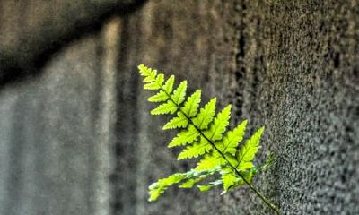 如何根据成语给男宝宝取名