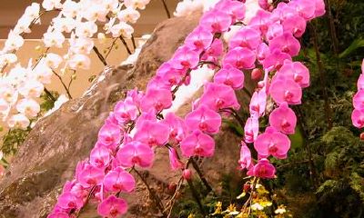 吉祥的宝宝名字如何取