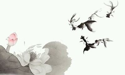 带木字旁的字女孩取名2017属鸡