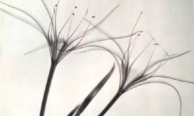 2018年十二月初九出生的女宝宝起什么名字好，腊月初九日子怎么样