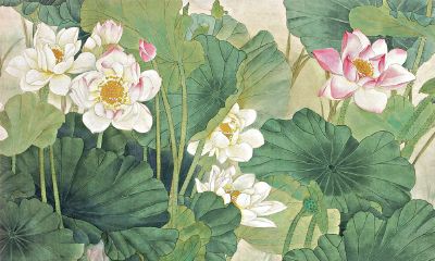 属兔卯时出生的女孩适合起什么名字，禁用什么字