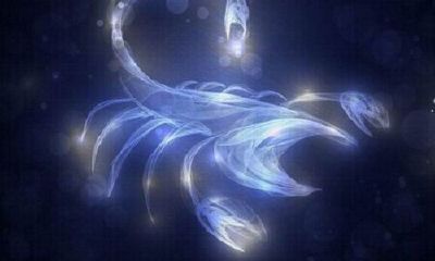 几号出生的天蝎最厉害