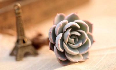 对付天蝎男最好的方法