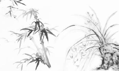 属龙未时出生的女孩起名方法和禁忌