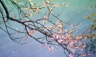 天蝎男泡妞最常用的手段