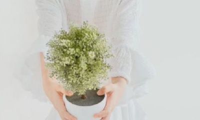 八字起名，姓郑女孩气质好听有寓意的名字