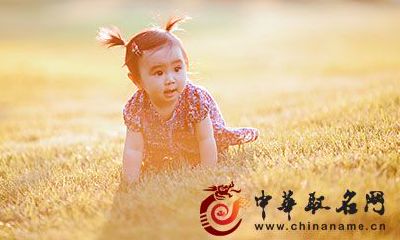 2017年属鸡女孩起名字技巧大全名字大全