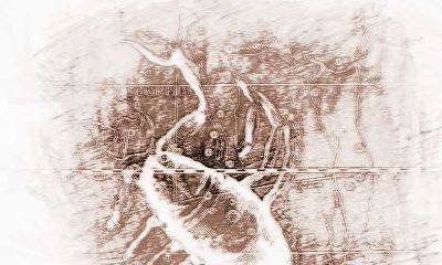 天蝎座的男生忍受不了哪种爱情