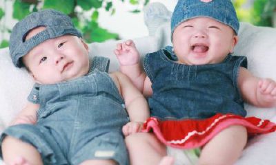 2019年属猪的名字带什么字好