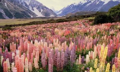 生辰八字起名：2019年3月24号出生的女宝宝应该怎样起名字，五行