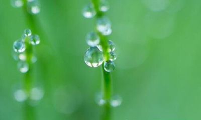 天蝎座积极和消极的表现