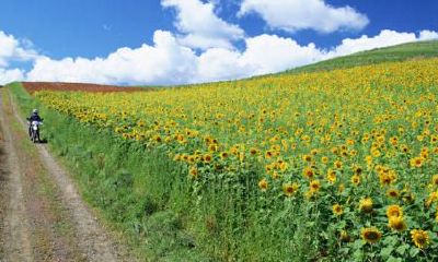 生辰八字起名：2019年3月20号出生的女宝宝怎样起名好，五行缺什