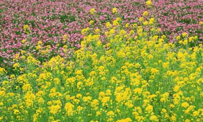 生辰八字起名：2019年3月17号出生的女宝宝应该怎样起名字，五行