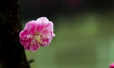 生辰八字起名：2019年3月6号出生的女宝宝怎样起名字好，五行缺什