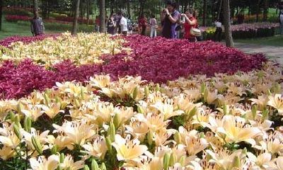 生辰八字起名：2019年3月26号出生的女宝宝适合起什么名字，五行