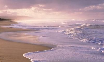 生辰八字起名：2019年3月5号出生的女宝宝怎么样起名字，五行缺什