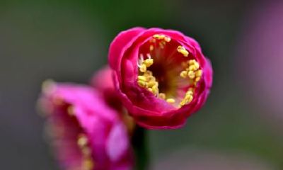 生辰八字起名：2019年2月16号出生的女宝宝怎么样起名字