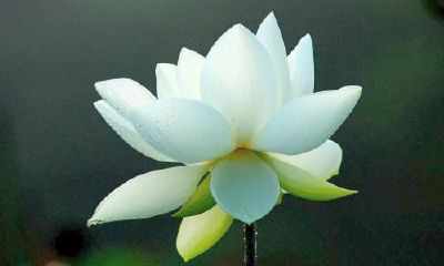 生辰八字起名：2019年2月3号出生的女宝宝怎样起名好