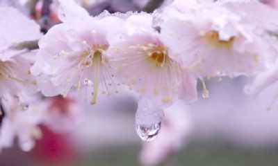 生辰八字起名：2019年2月20号出生的女宝宝怎样起名字好