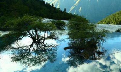 属狗寅时出生的女孩起名方法和禁忌