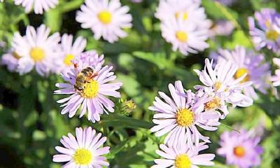 生辰八字起名：晚上出生的女宝宝怎么样起名，宜用什么字