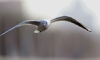 生辰八字起名：2019年3月23号出生的女宝宝怎样起名字好，五行缺