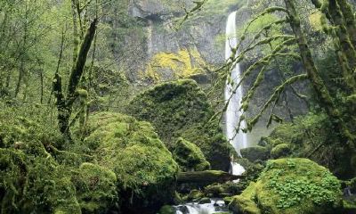 生辰八字起名：2019年2月9号出生的女宝宝怎么样起名字