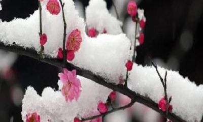 生辰八字起名：2019年2月11号出生的女宝宝怎么样起名字