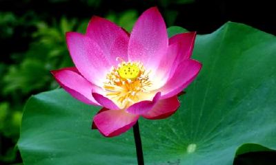 生辰八字起名：2019年2月1号出生的女宝宝怎么样起名字