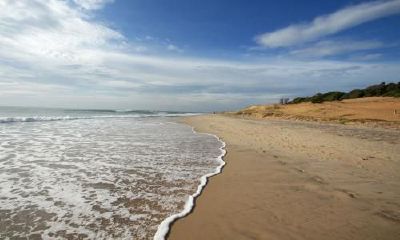 生辰八字起名：2019年3月10号出生的女宝宝应该怎样起名字，五行