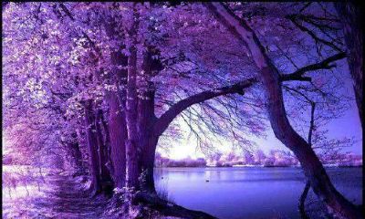 生辰八字起名：2019年3月28号出生的女宝宝怎么样起名字，五行缺