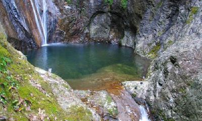 生辰八字起名：2019年2月4号出生的女宝宝适合什么名字