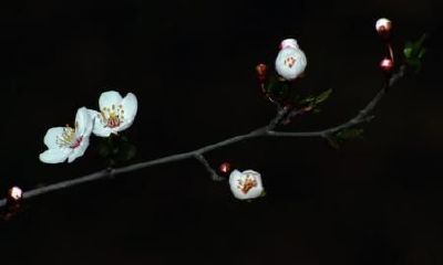 生辰八字起名：2019年2月13号出生的女宝宝怎么样起名字