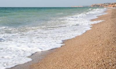 生辰八字起名：2019年3月1号出生的女宝宝怎么样起名字，五行缺什